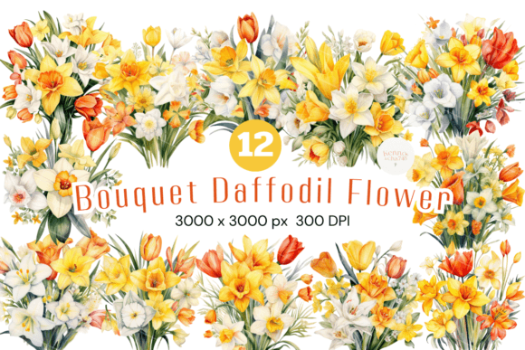 Download Watercolor Daffodil Flowers - Daffodil flower Collection