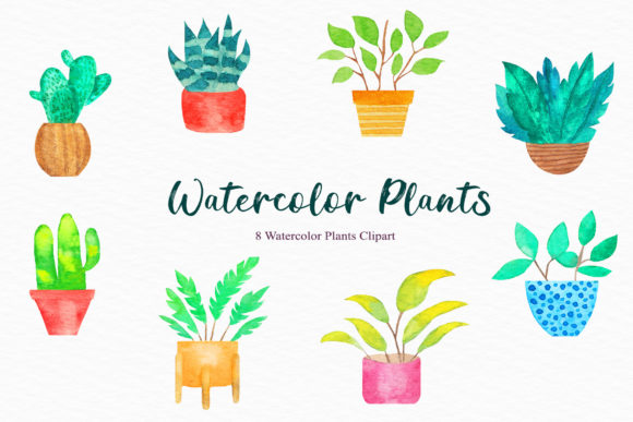 Download Watercolor Plants Clipart - Premium Bundle