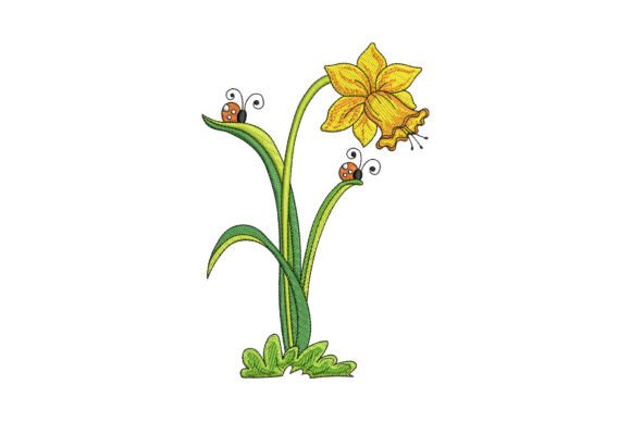 Download Daffodil Flower - Daffodil flower Collection