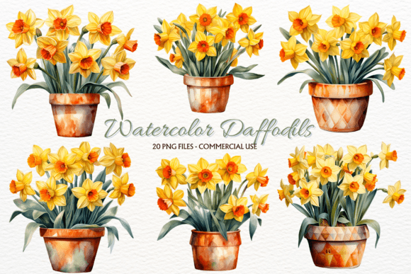 Download Spring Daffodil Flowers PNG Clipart - Daffodil flower Collection