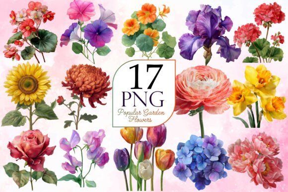 Download Popular Garden Flowers PNG Bundle - Garden flowers png Collection